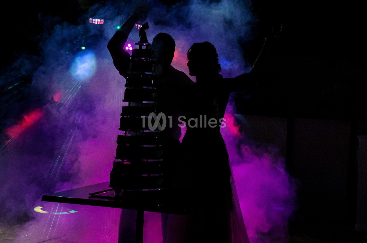 Un couple en silhouette devant une pièce montée, entouré de fumée colorée et de lumières vives.