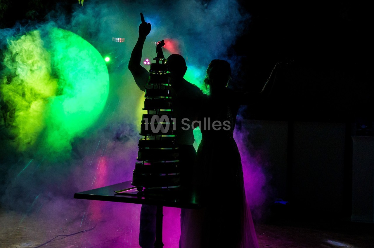 Un couple silhouetté devant une pièce montée illuminée, entouré de fumée colorée et d'éclairages vifs.