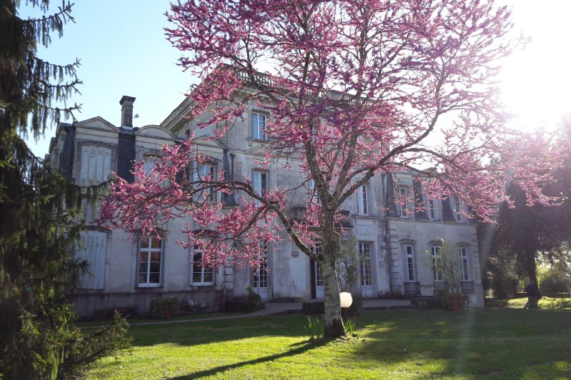 Domaine de Peyreguilhot - photo 5