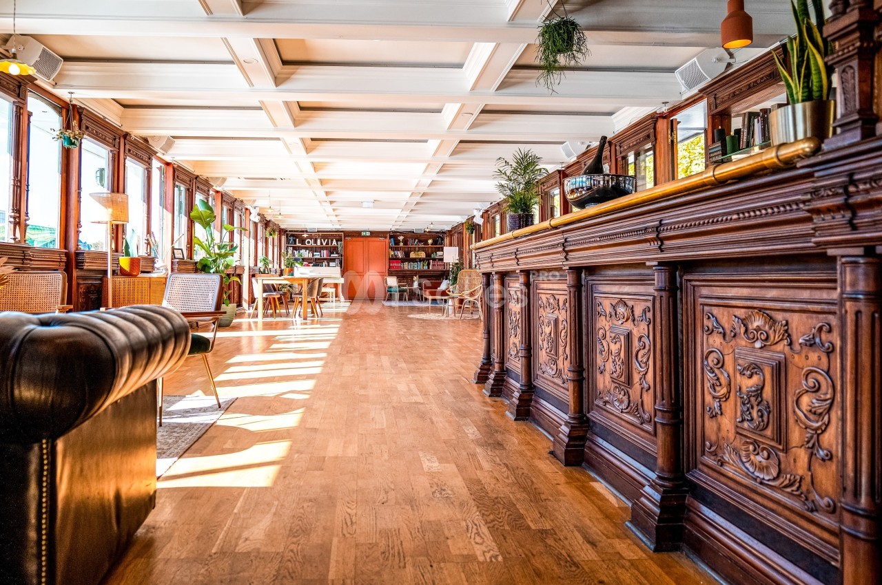 Intérieur lumineux avec un sol en bois, un comptoir sculpté, des plantes et des fauteuils dans un espace chaleureux.
