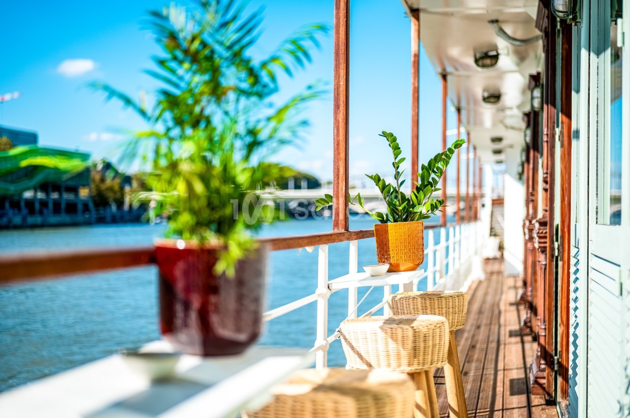 Plantes en pot et chaises en osier sur la terrasse d'un bateau amarré au bord d'une rivière par temps ensoleillé.