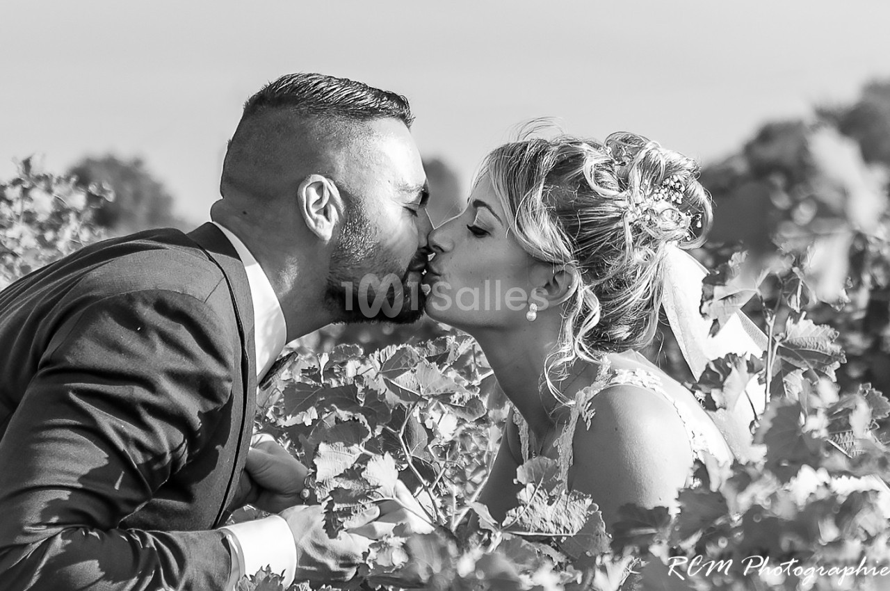 Un couple en tenue de mariage s'embrasse tendrement au milieu de vignes sous un ciel dégagé.