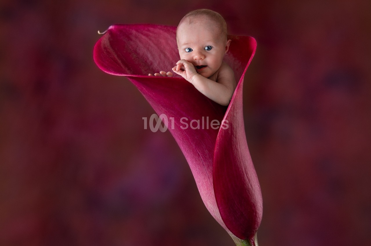 Un bébé émergeant d'une fleur de calla rouge sur un fond flou aux tons chauds.