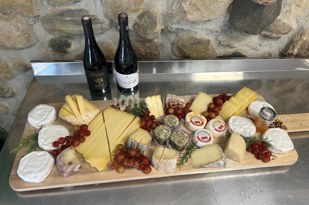 Plateau de fromages variés avec raisins, herbes, pots de confiture et deux bouteilles de vin rouge sur une table en métal.