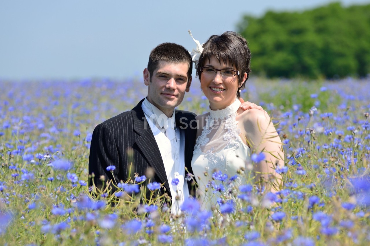 Un couple en tenue de mariage pose dans un champ fleuri de bleuets sous un ciel dégagé.