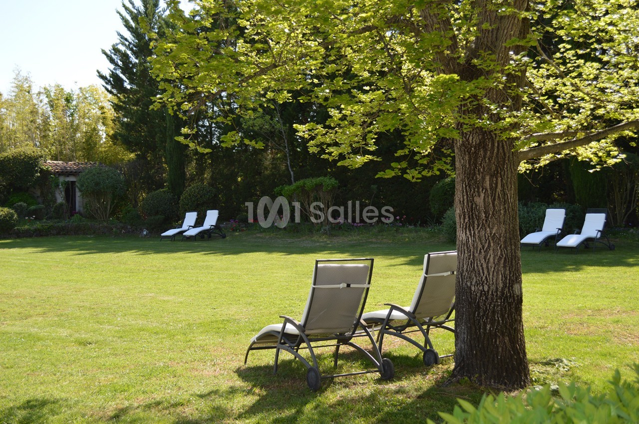 Deux chaises longues sous un arbre sur une pelouse, avec d'autres transats en arrière-plan près de buissons.