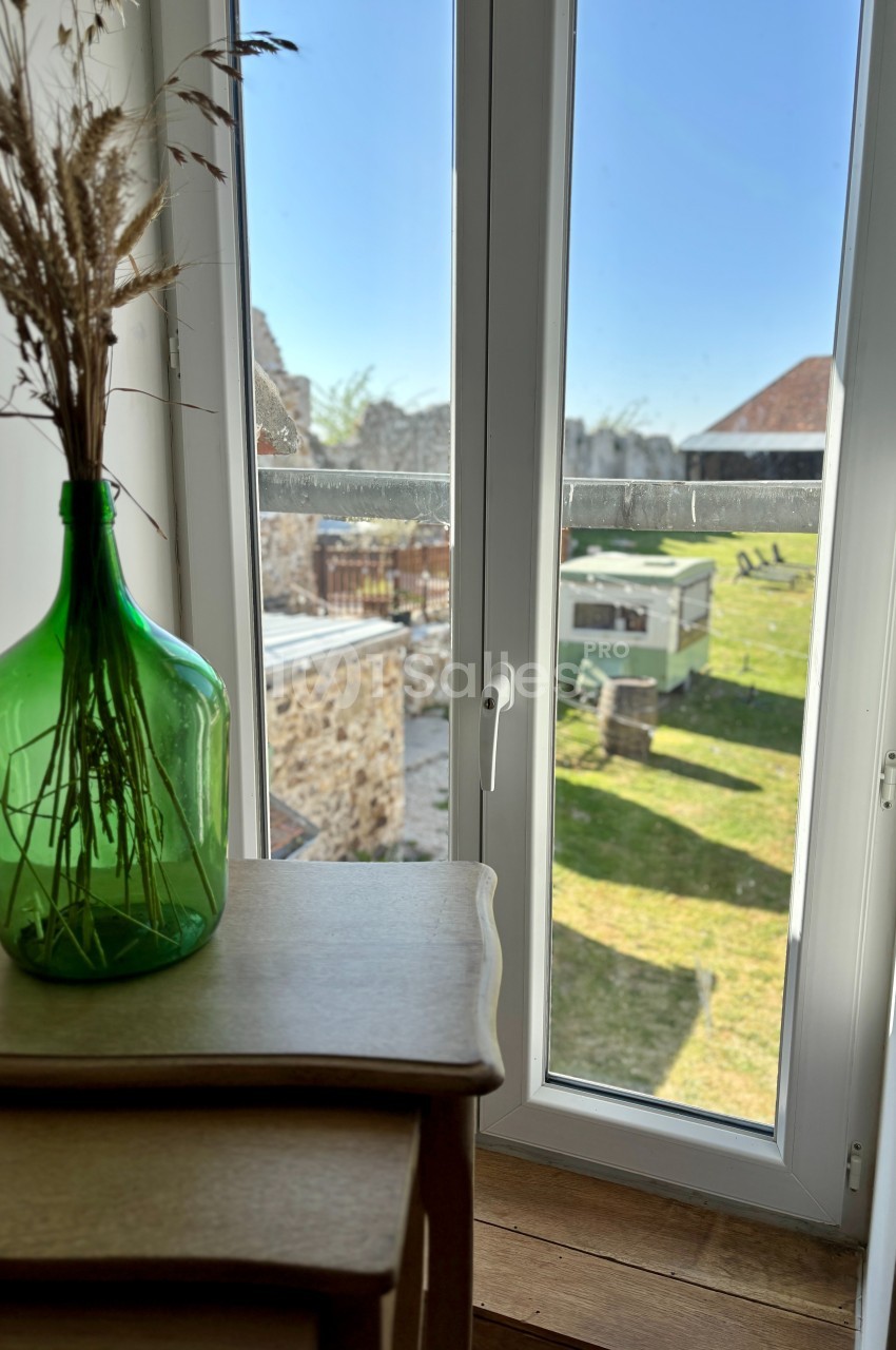 Vue depuis une fenêtre donnant sur un jardin ensoleillé avec une pelouse, des bâtiments et un vase vert contenant des herbes…