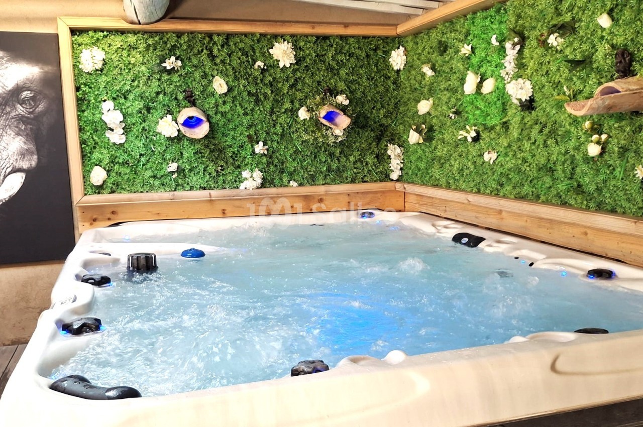 Bain à remous en fonctionnement, entouré de murs végétalisés décoratifs et d'une photo d'éléphant.
