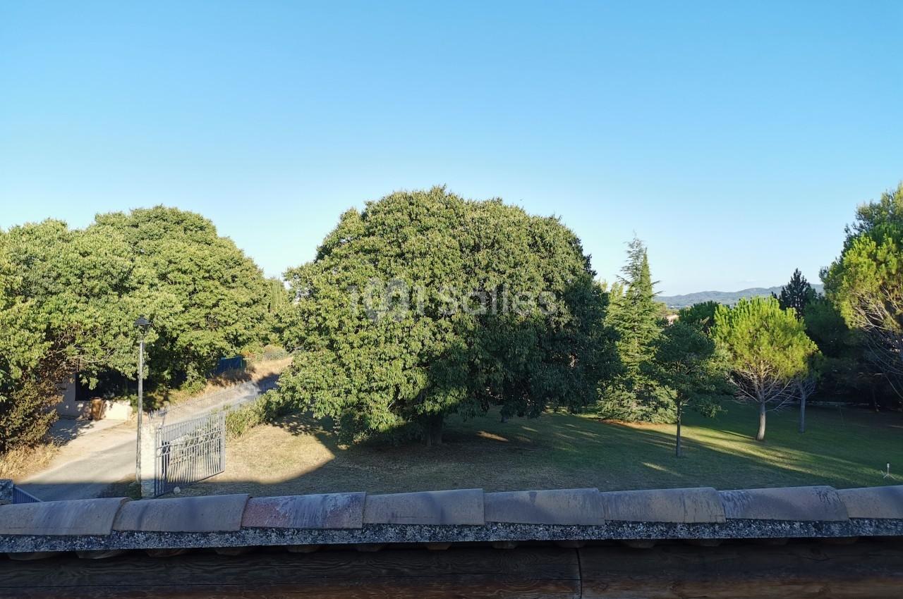 Vue d'un jardin arboré avec une allée, des arbres et un ciel dégagé en arrière-plan.