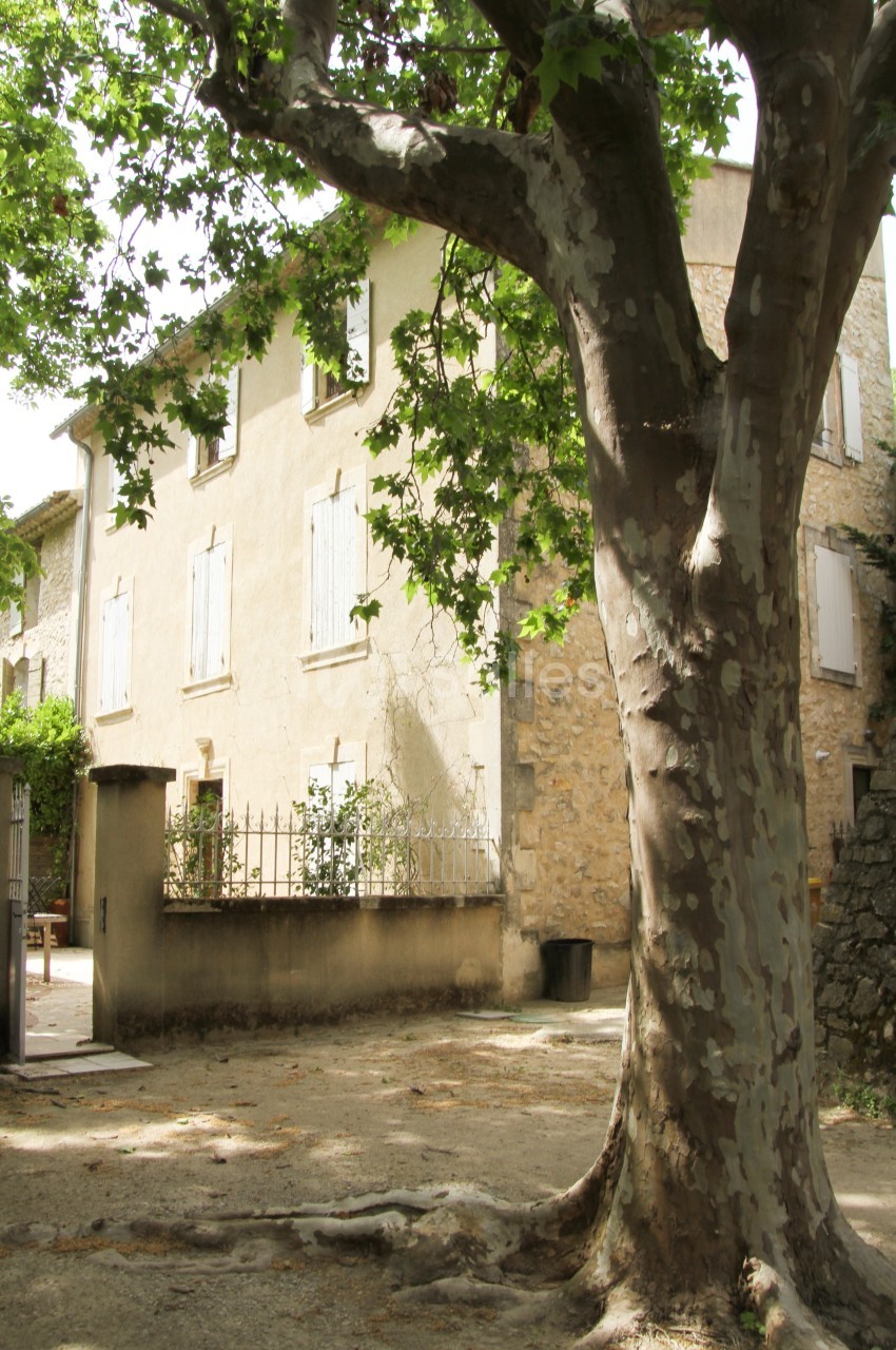 Façade d'une maison en pierre avec volets fermés, partiellement ombragée par un grand platane au premier plan.