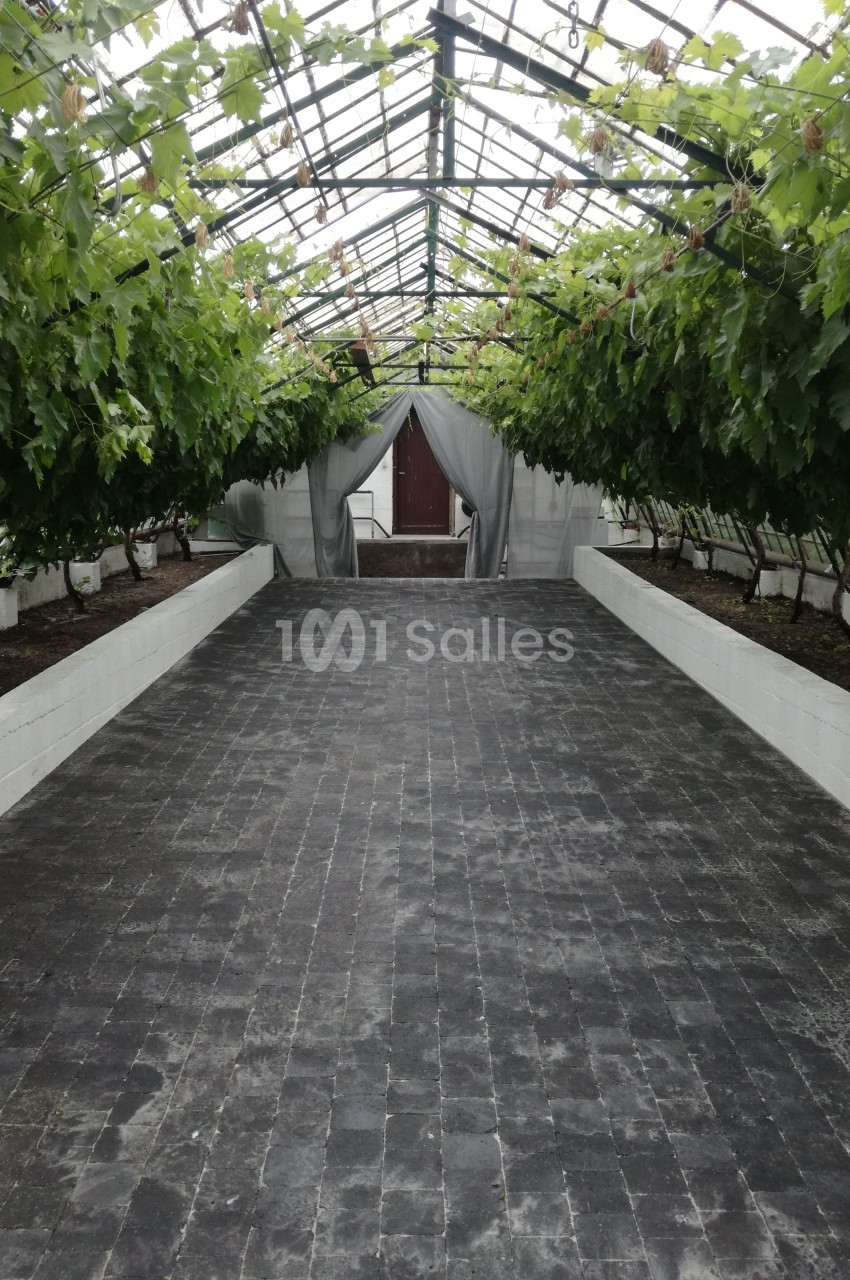 Allée centrale d'une serre avec des vignes suspendues et un sol en dalles noires, menant à une porte en bois.