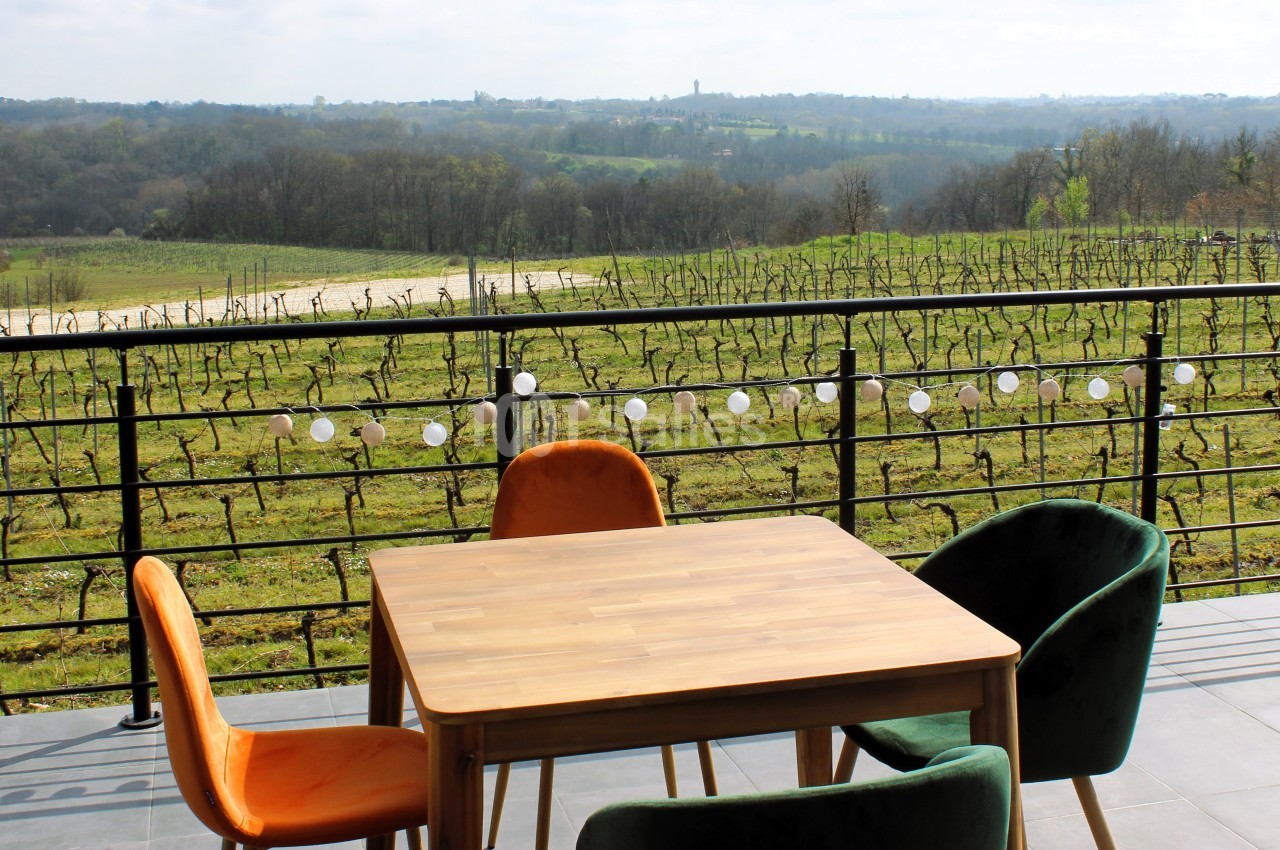 Table en bois entourée de chaises colorées sur une terrasse avec vue sur des vignes et un paysage vallonné.