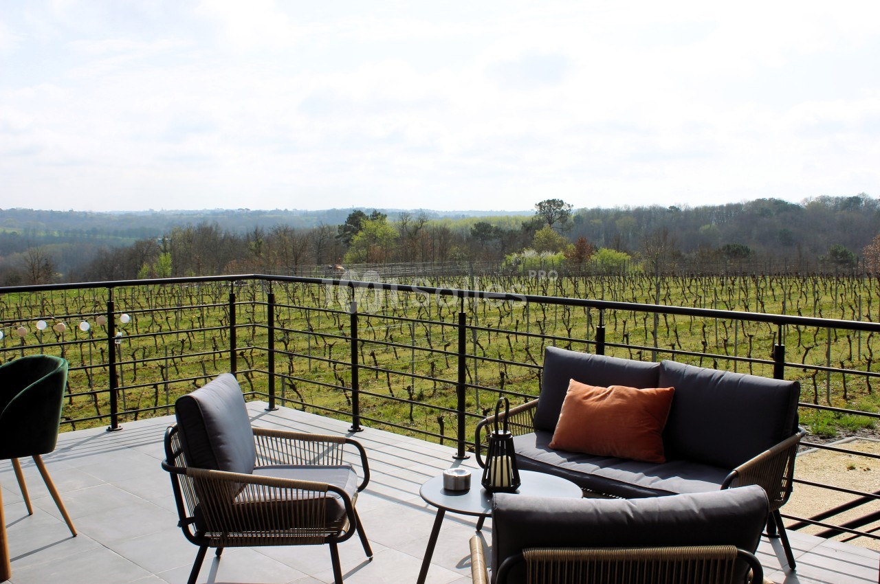 Terrasse aménagée avec mobilier d'extérieur, offrant une vue dégagée sur des vignes et un paysage naturel.