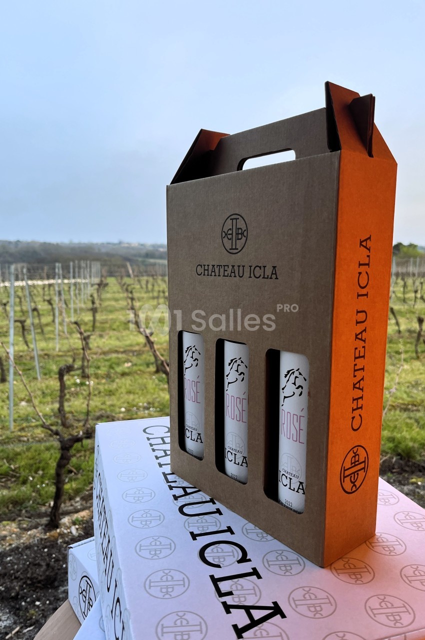 Coffret de trois bouteilles de vin rosé Château Icla posé devant des vignes en hiver.