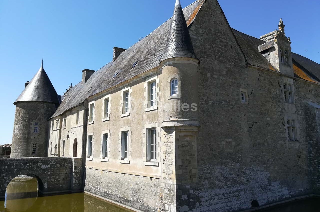Château de Saveilles - galerie - photo 3