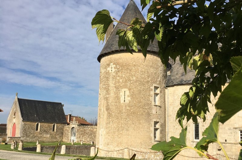 Château de Saveilles - photo 4