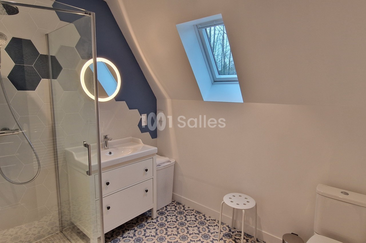 Salle de bain moderne avec douche vitrée, lavabo, miroir éclairé, toilettes et fenêtre de toit.