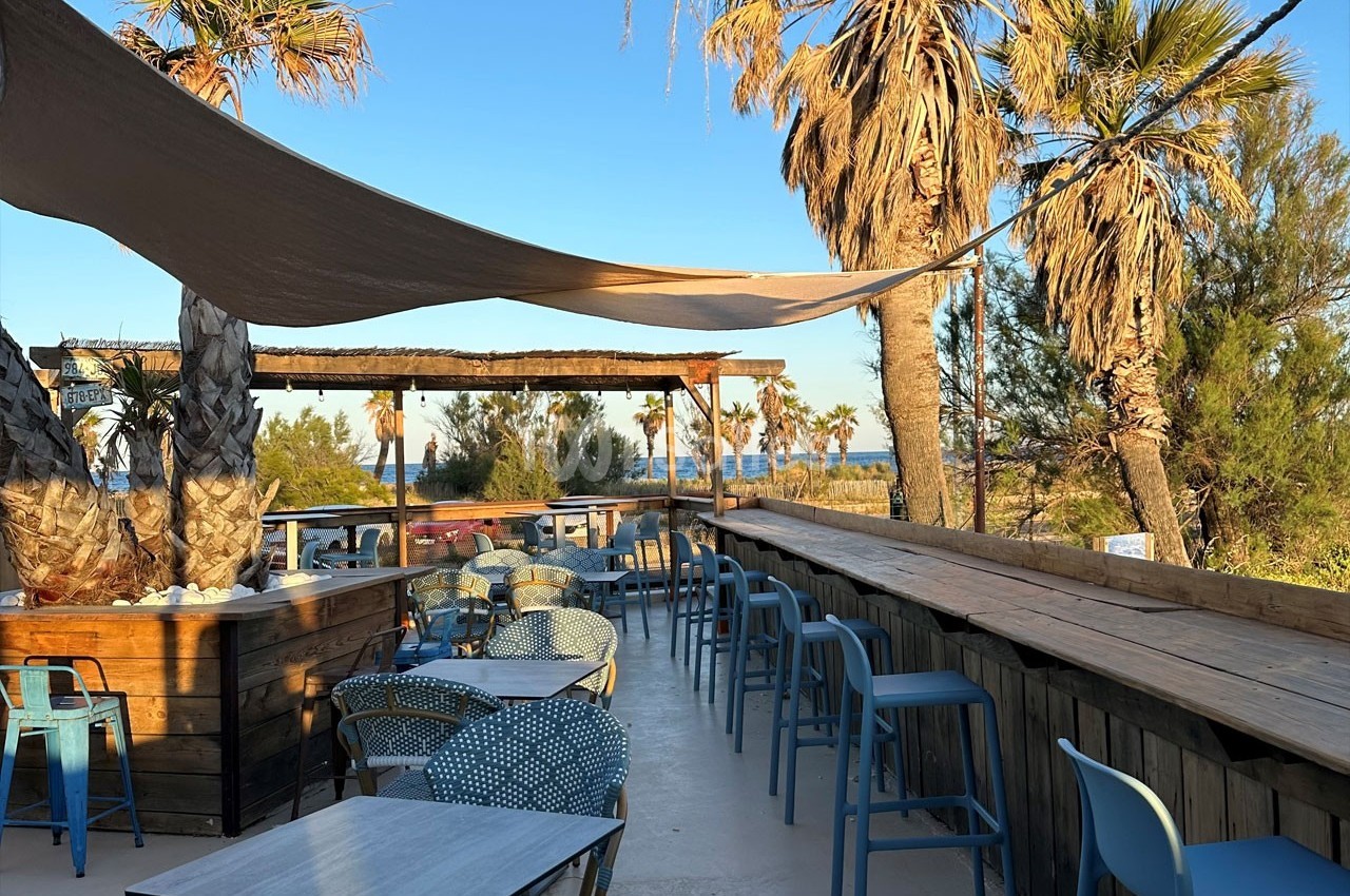 Terrasse en plein air avec tables, chaises et bar en bois, entourée de palmiers, vue sur la mer en arrière-plan.