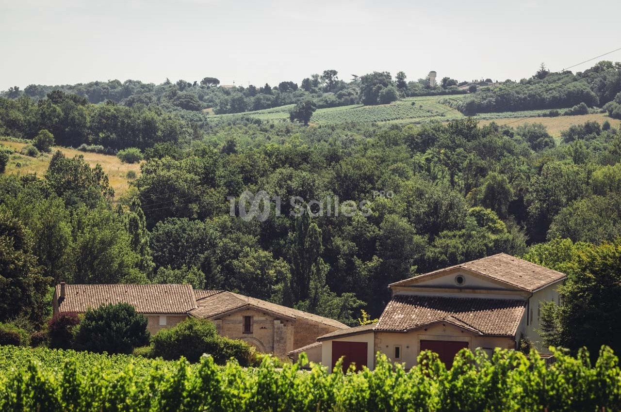Vue d'un paysage rural avec des bâtiments en pierre entourés de vignes et de collines verdoyantes.
