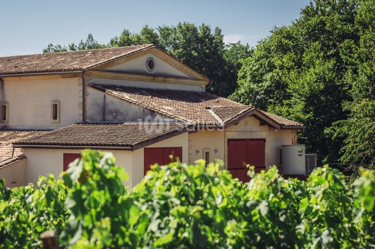 Bâtiment en pierre avec toit en tuiles entouré de vignes et de végétation sous un ciel dégagé.