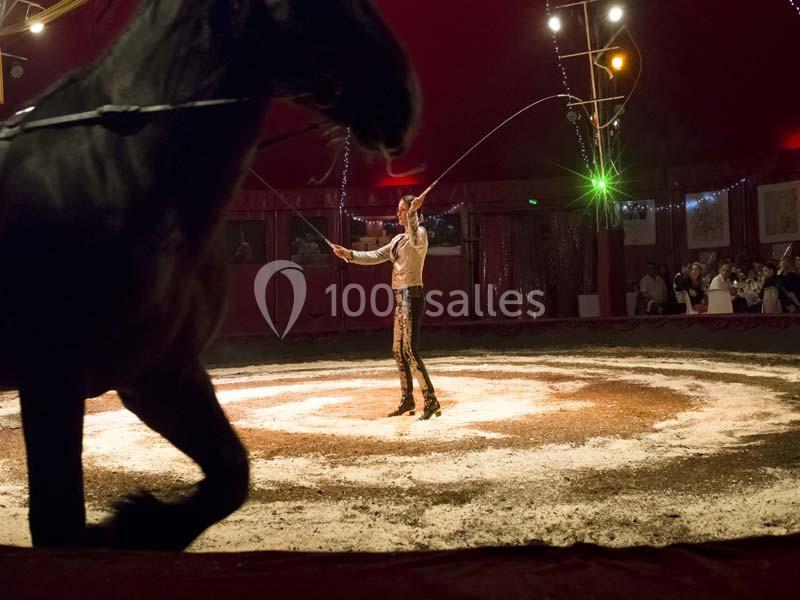 Chapiteaux De Provence - galerie - photo 6
