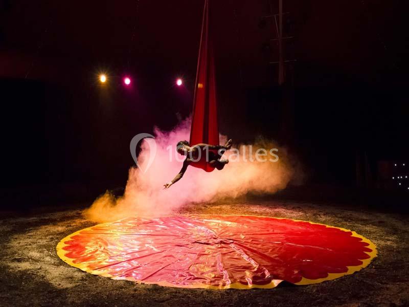 Chapiteaux De Provence - galerie - photo 11
