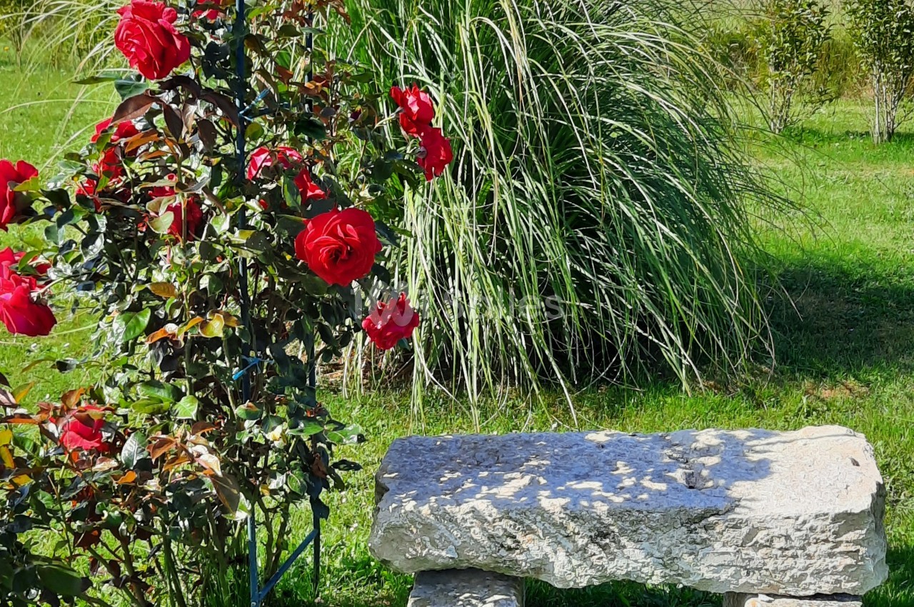 Domaine de Mézières  - galerie - photo 13
