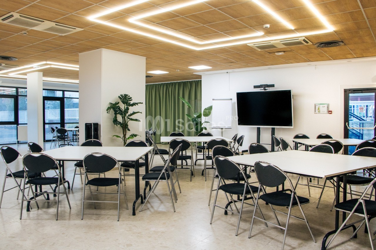 Salle lumineuse avec tables et chaises noires, écran, tableau blanc et plantes, sous un plafond en bois avec éclairage…