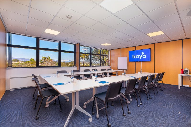 Baya Coworking Sophia-Antipolis - photo 2