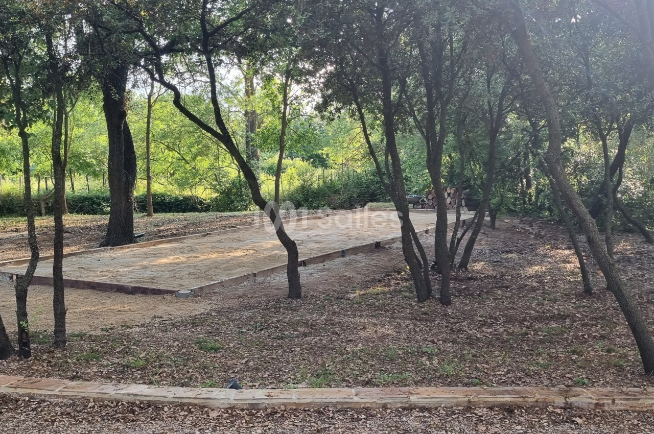 Terrain de pétanque en terre battue entouré d'arbres dans un espace naturel.