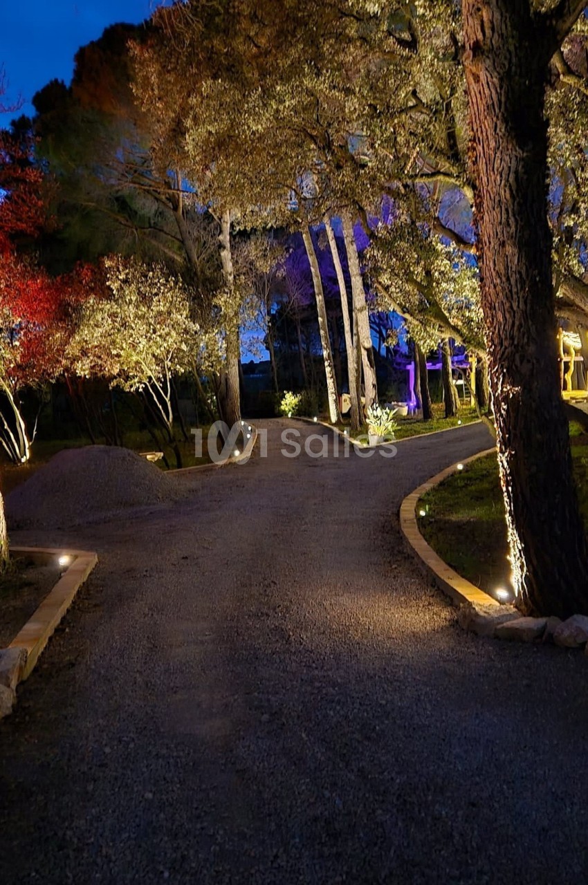 Allée gravillonnée éclairée par des lumières au sol, bordée d'arbres et de végétation, sous un ciel nocturne.