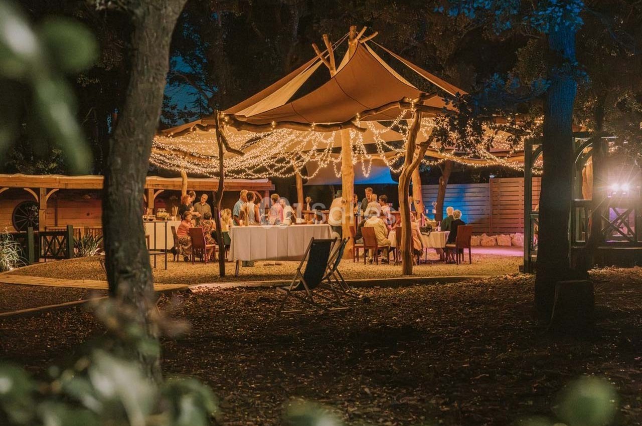 Dîner en plein air sous une tente illuminée par des guirlandes lumineuses, entourée d'arbres et d'un décor naturel.