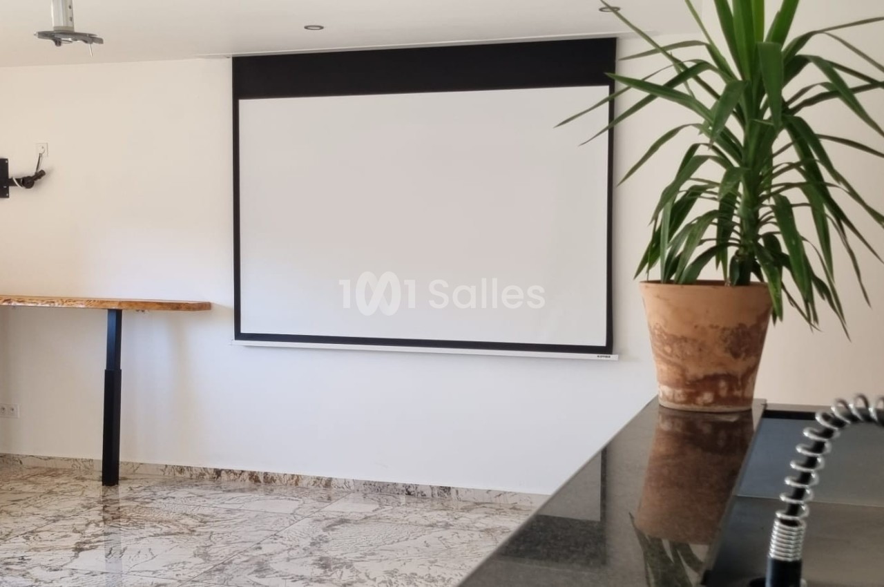 Salle lumineuse avec un écran de projection, un plan de travail en bois, une plante en pot et un évier au premier plan.