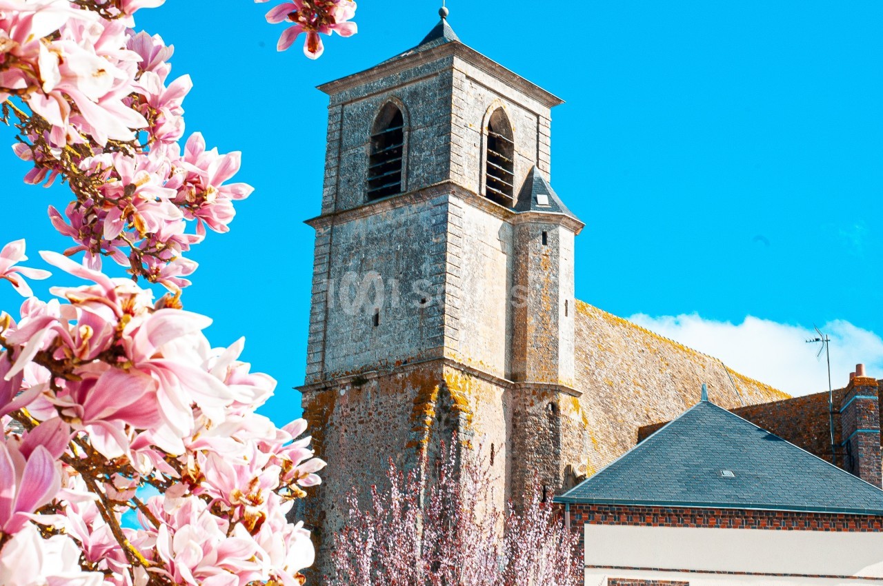 Clocher en pierre d'une église entouré de magnolias en fleurs sous un ciel bleu.