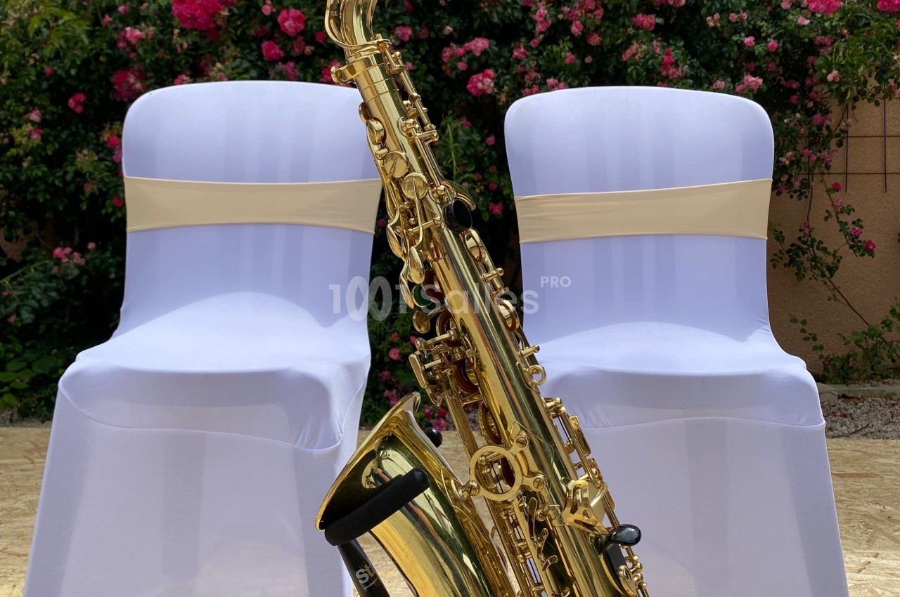 Un saxophone doré posé devant deux chaises blanches décorées, avec un fond de buissons fleuris.