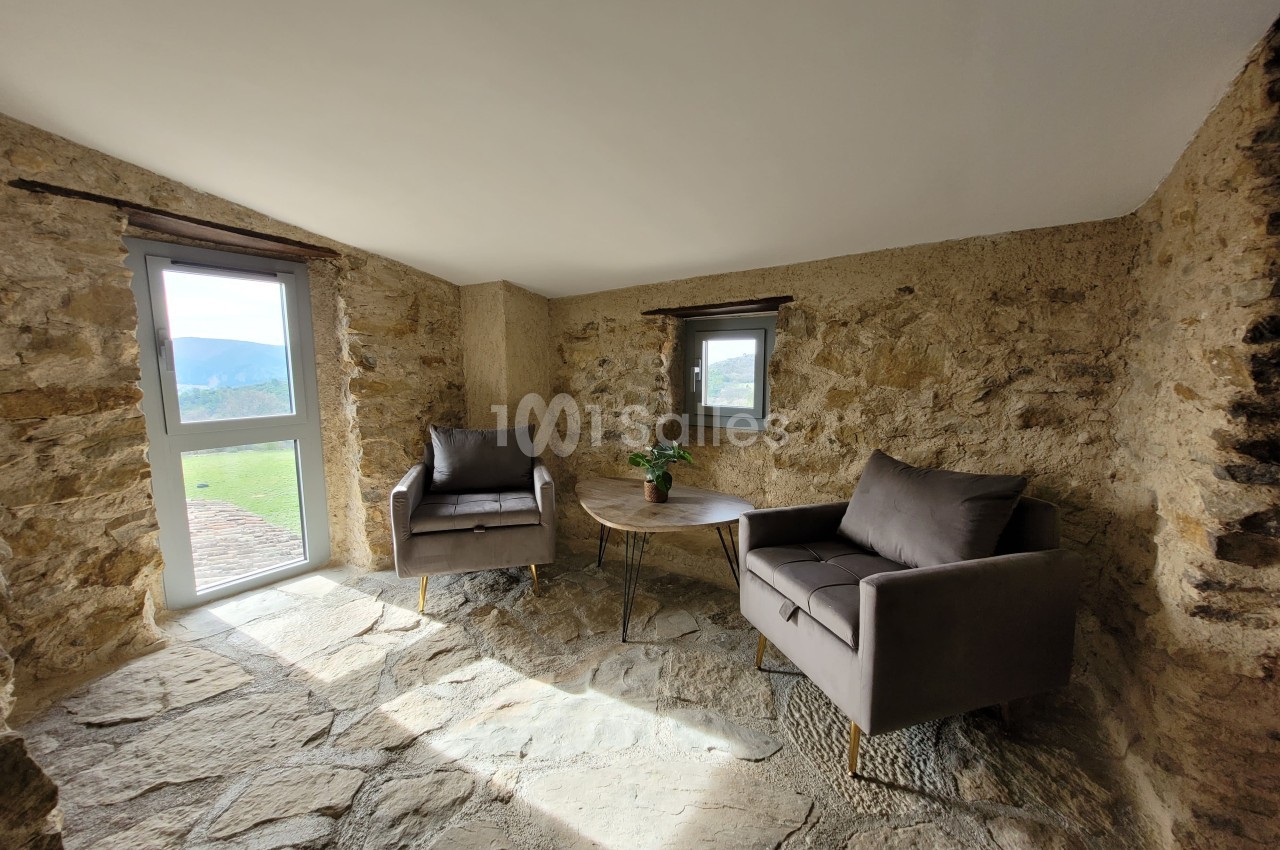 Deux fauteuils gris et une table basse avec une plante dans une pièce en pierre éclairée par la lumière naturelle.