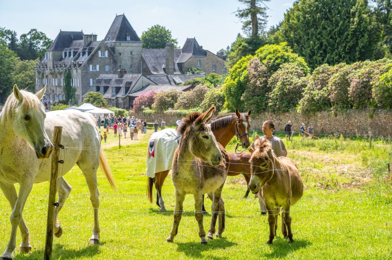 Manoir du Stang - photo 2