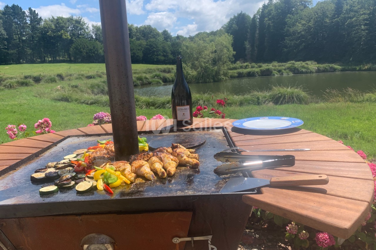 Plancha en plein air avec légumes grillés, brochettes de viande, ustensiles et bouteille de vin près d’un étang.