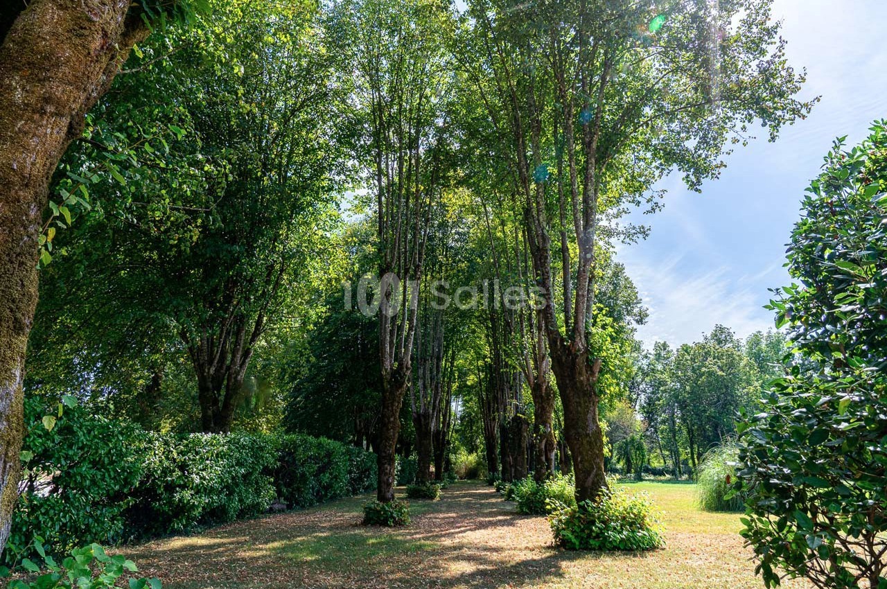 Château de Laubardemont - galerie - photo 24