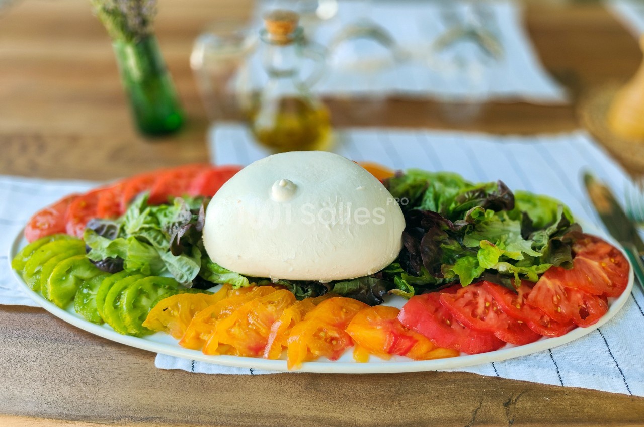 Assiette de burrata entourée de tranches de tomates colorées et de salade, posée sur une table en bois.