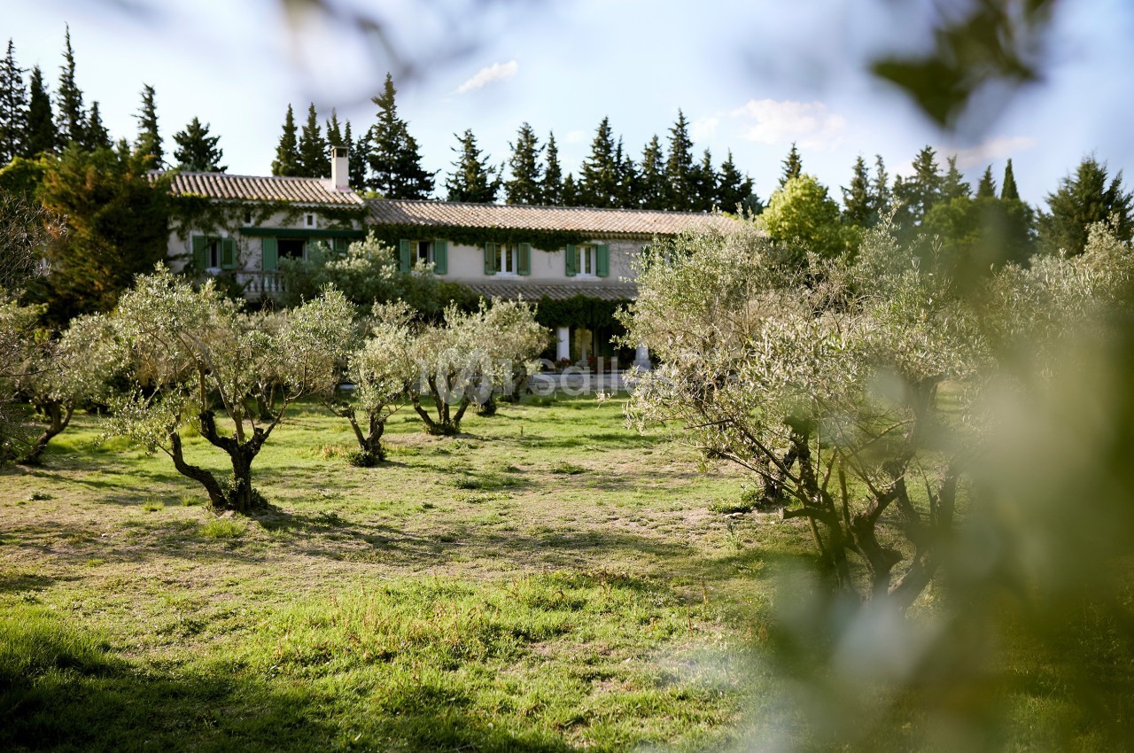 Maison provençale entourée d'oliviers, avec des arbres en arrière-plan sous un ciel partiellement dégagé.