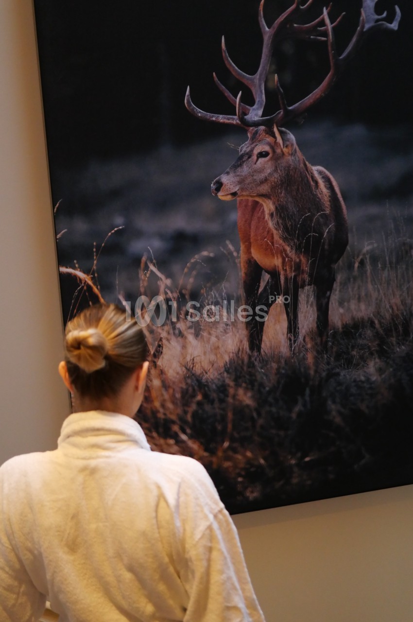 Le Domaine de Bra - galerie - photo 24