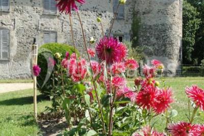 Domaine De Bisseret - photo 3
