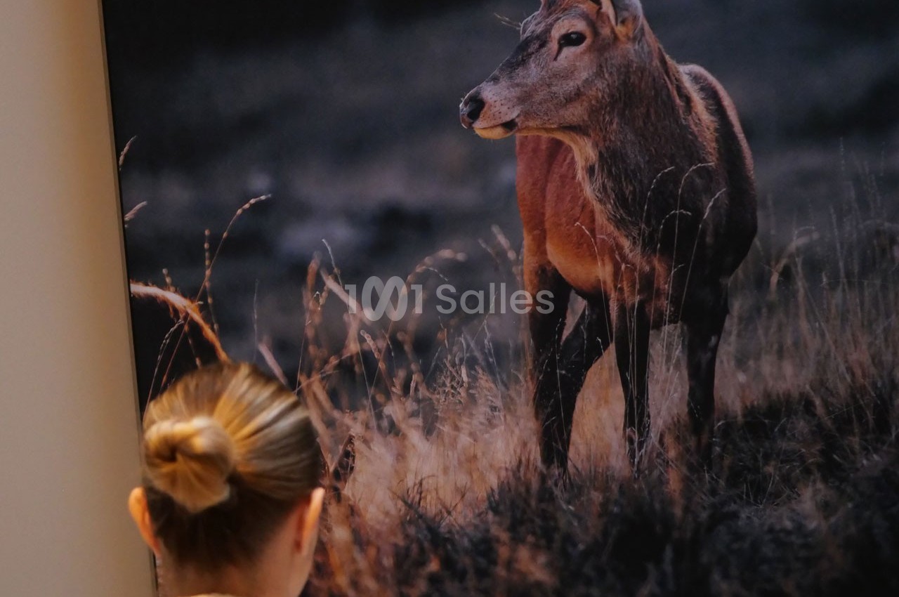 Le Domaine de Bra - galerie - photo 25