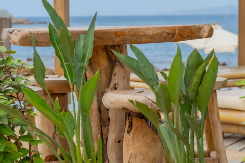 Le Goéland Beach - photo 5
