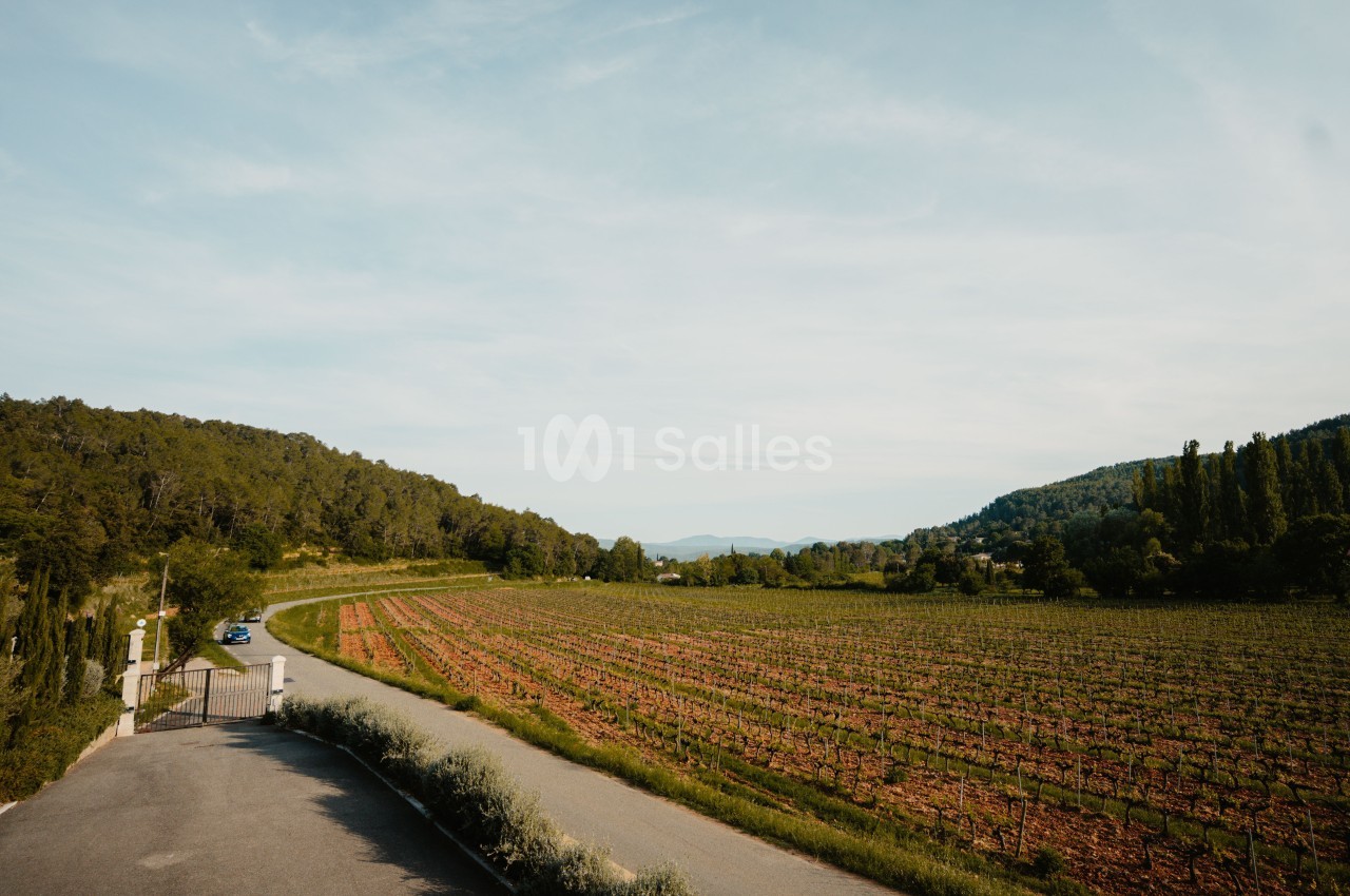 Route bordée de vignes et de collines verdoyantes sous un ciel dégagé.