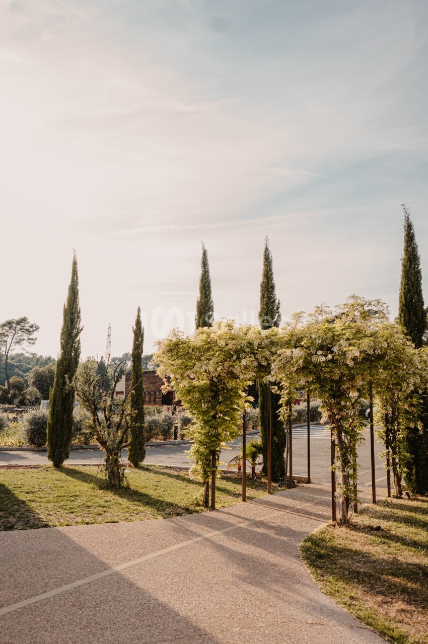 Allée bordée de cyprès et pergola végétalisée dans un jardin sous un ciel dégagé en fin de journée.