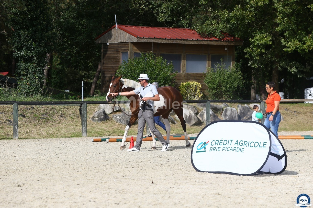Un homme guide un cheval tenu en longe dans une carrière, avec une femme et un enfant en arrière-plan.