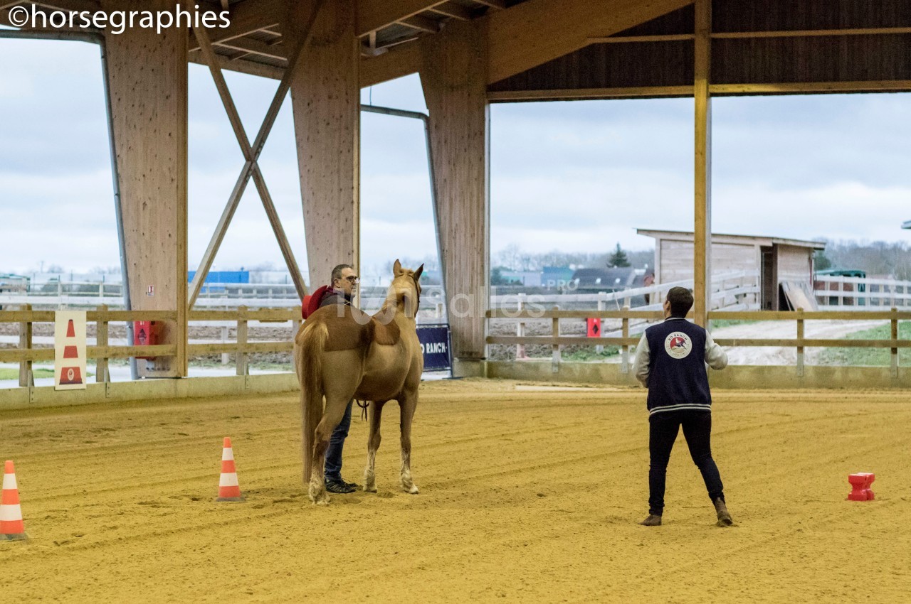 Un cheval tenu par une personne dans un manège, observé par une autre personne en tenue d'équitation.