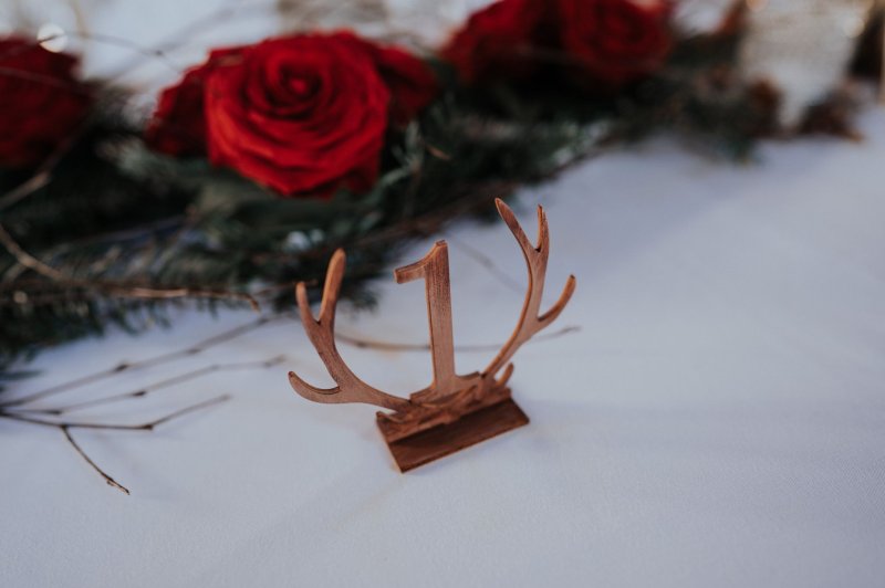 Wedding on The Moon  - photo 4